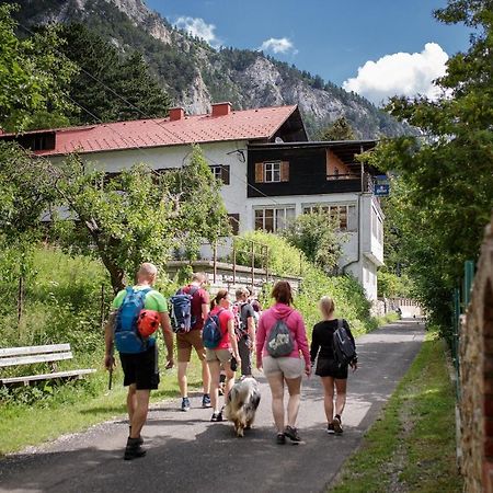 Berghof Seiser Toni Oberhoflein Exteriér fotografie
