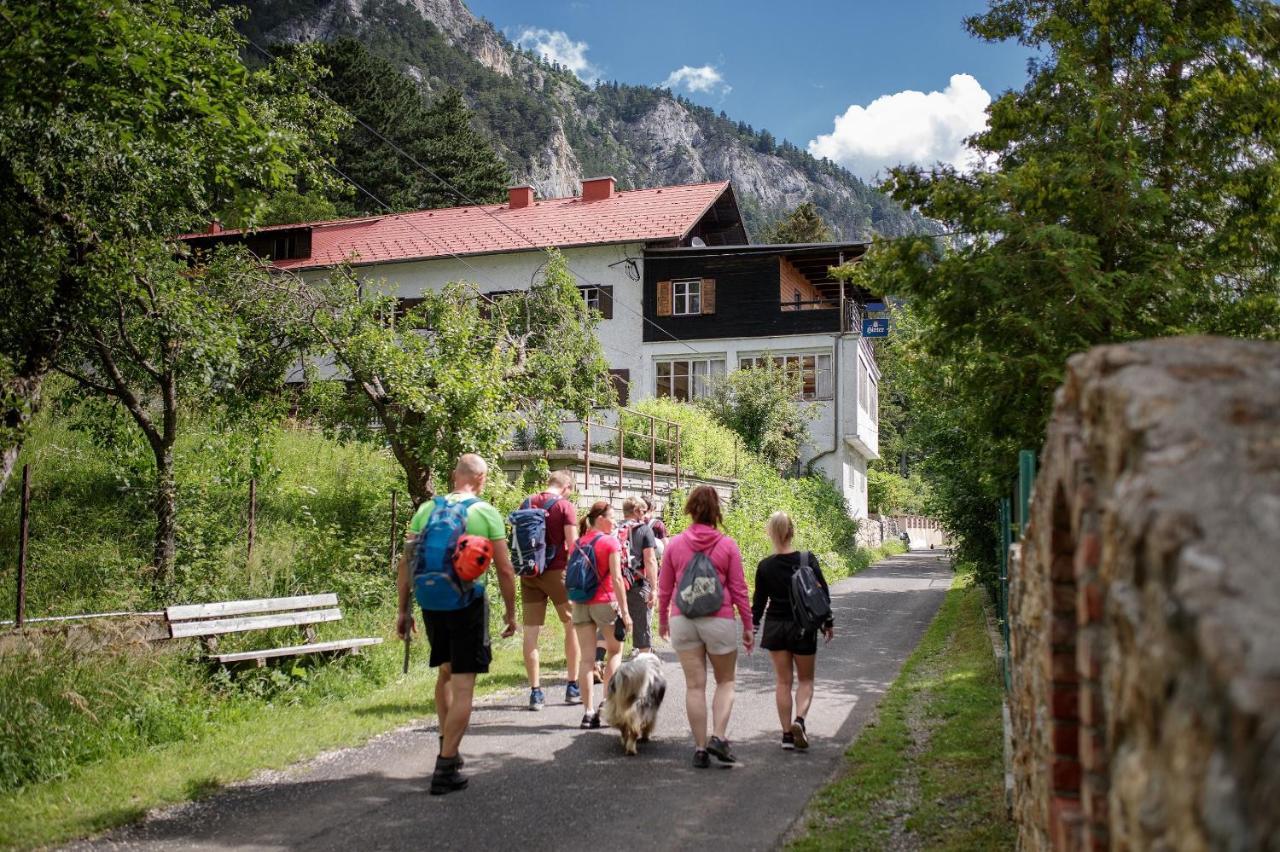 Berghof Seiser Toni Oberhoflein Exteriér fotografie